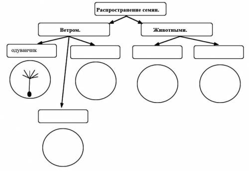 Дополните схему примерами растений каждой группы, нарисуйте схематически иллюстрацию или прикрепите