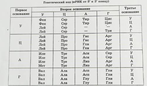 Известно, что комплементарные цепи нуклеиновых кислот антипараллельны(5’ концу в одной цепи соответс