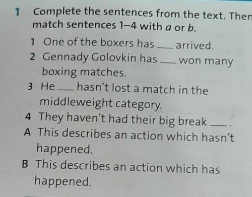 Complete the sentences from the text. Then match sentences 1-4 with a or b. 1 One of the boxers has