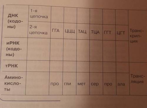 1-я цепочка ДНК (кодо- ны) 2-я ГГА ЦЦЦ ТАЦ ТЦА | ГГТ ЦГТ Транс- цепочка крип- ЦИЯ иРНК (кодо- ны) тР