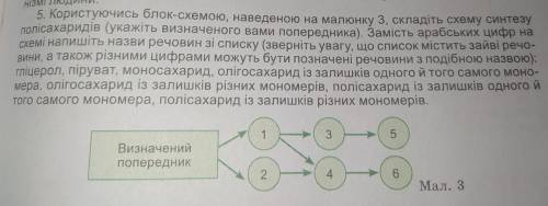 5. Користуючись блок-схемою, наведеною на малюнку 3, складіть схему синтезу полісахаридів (укажіть в