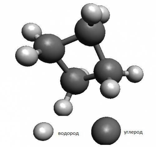 Help me please На рисунке приведена модель органического вещества: Выберите соединение, которое явля