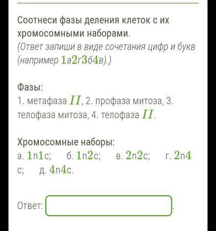 Соотнеси фазы деления клеток с их хромосомными наборами. (ответ запиши в виде сочетания цифр и букв