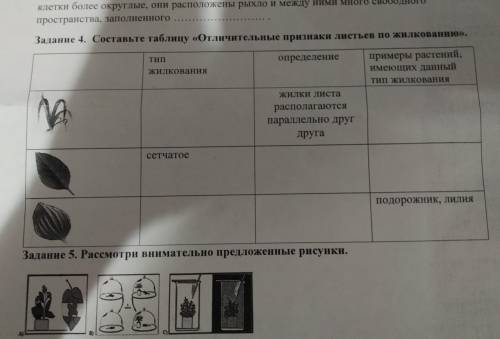 пространства, заполненного Задание 4. Составьте таблицу «Отличительные признаки листьев по жилковани