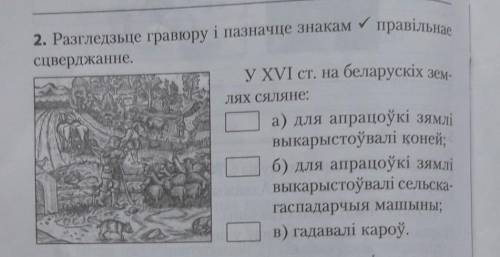 Правда ли что у 16 стагодзі белорусские селяне апрацоўвалі землю выкарыстоўваючы коней