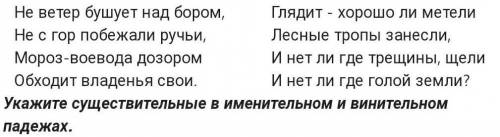 Укажите существительные в именительном и винительном падежах