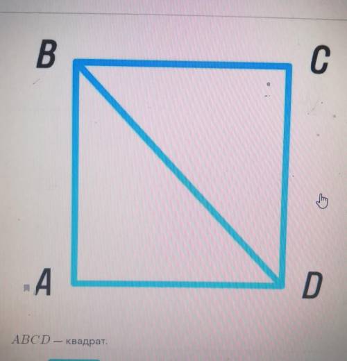 1)Равны ли треугольники ABD и BDC? 2)По какому признаку? 3)Чему равна площадь квадрата, если площадь