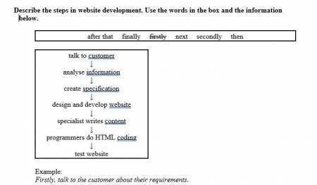 Describe the steps in website development. use the words in the box and the information below.
