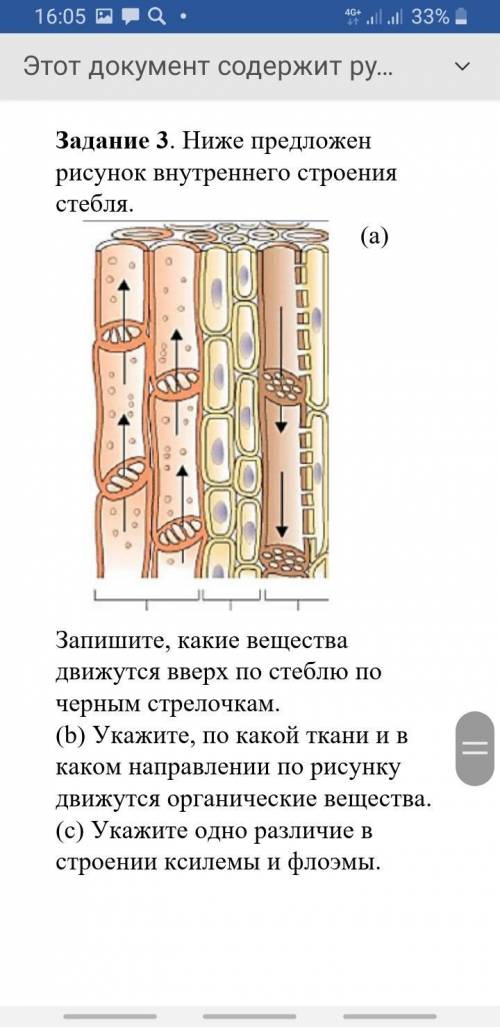 Ребята по биологии 7класс