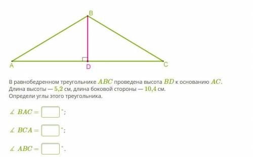 В равнобедренном треугольнике ABC проведена высота BD к основанию AC. Длина высоты — 5,2 см, длина б