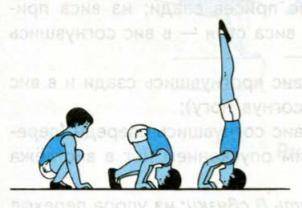 Какое упражнение выполняет мальчик на картинке? Выберите один ответ: стойка на голове и руках стойка