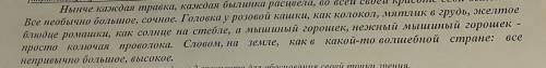 4. Найдите сравнения, которые автор использовал в тексте.