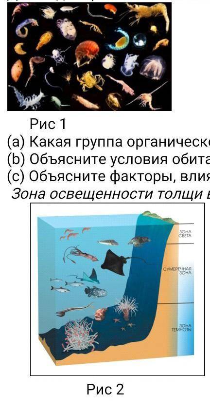 Для вод Мирового океана характерны зональные закономерности Рис 1 (а) Какая группа органического мир