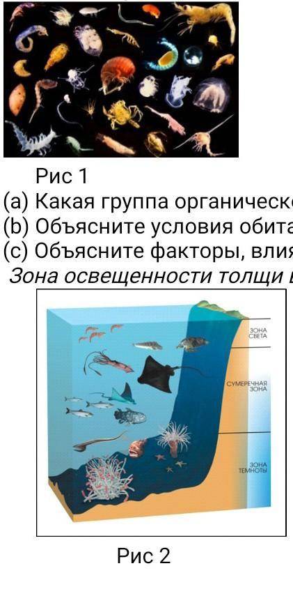 Для вод Мирового океана характерны зональные закономерности Рис 1 (а) Какая группа органического мир