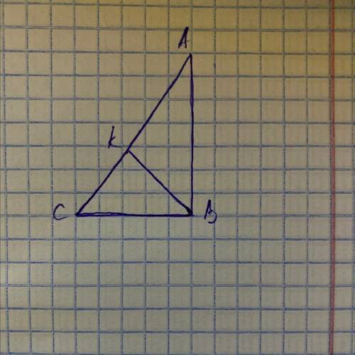В прямоугольный треугольник ABC с прямым углом ABC вписан прямоугольный треугольник СКВ. Катеты треу