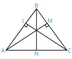 Известно, что АС = 11 см, АМ = 9 см, CL = 11 см, BN = 13 см. Вычислите площадь треугольника ABC!