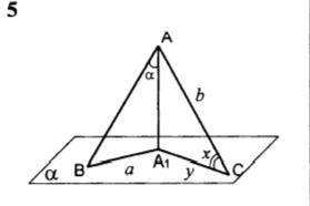 АА1 - перпендикуляр к плоскости альфа, АВ и АС наклонные, Найти х и y.