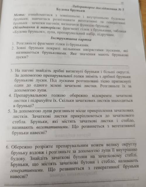 2. Зовні бруньки покриті щільними шкірястими лусками, які називаються бруньковими. Яке значення мают