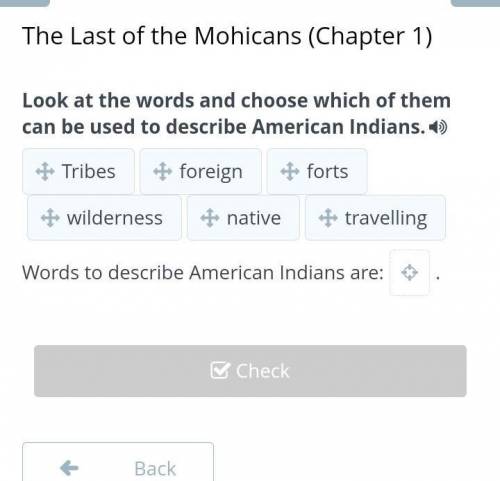 Look at the words and choose which of them can be used to describe American Indians