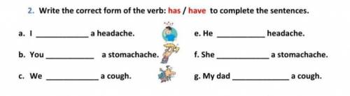 Whrite the correct form of the verb has /have to complete the sentences