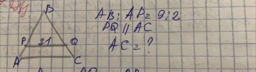 Геометрия 9 класс Паралельно основанию AC проведен отрезок PQ так что точка p лежит на AB а Q лежит