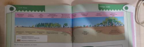 По рисунку 55 сравните, как проходят границы гумусового горизонта и почвенного слоя в целом. Определ