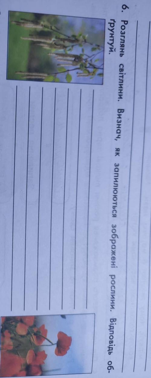 6. Розглянь світлини. Визнач, як запилюються зображені рослини. Відповідь обгрунтуй.
