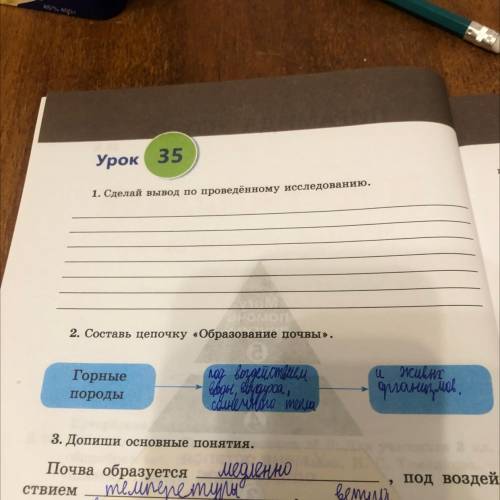 1.сделай вывод по проведённому исследованию первое задание сделайте это естествознание