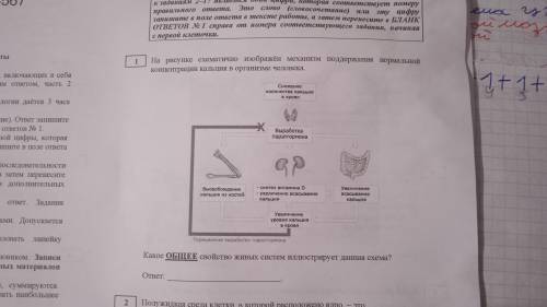 с биологией задание огэ 1. Какое слово там должно быть