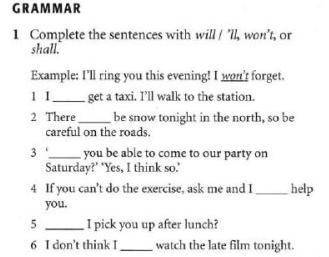 Complete the sentences with will / 'll, won't, or shall.