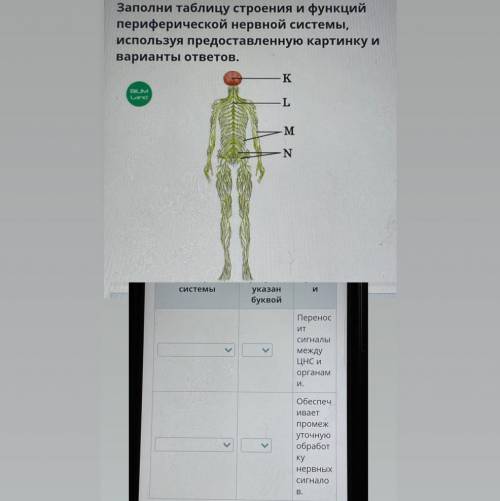 заполнить таблицу. Нужно поставить соответствующую букву.