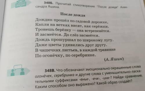 348В. Что обозначают эмоционально окрашенные слова огонёчек, серебринка и другие слова с уменьшитель