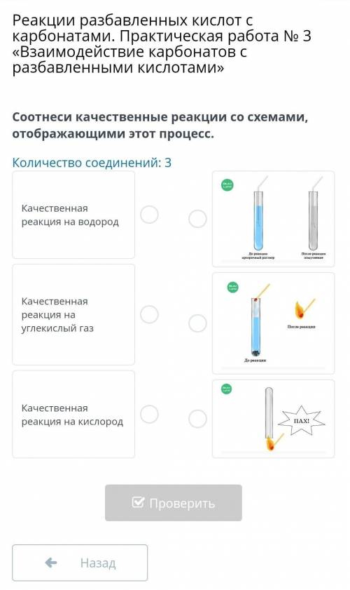 Реакции разбавленных кислот с карбонатами. Практическая работа № 3 «Взаимодействие карбонатов с разб