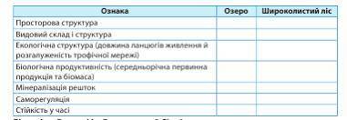 Самостійна робота на порівняння. Подібність й відмінність екосистем