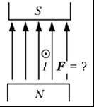 В магнитном поле находится проводник с током. Каково направление силы Ампера.