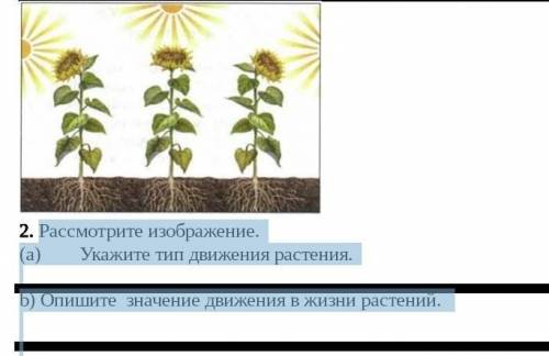 Рассмотрите изображение. Укажите тип движения растения. b) Опишите значение движения в жизни растени