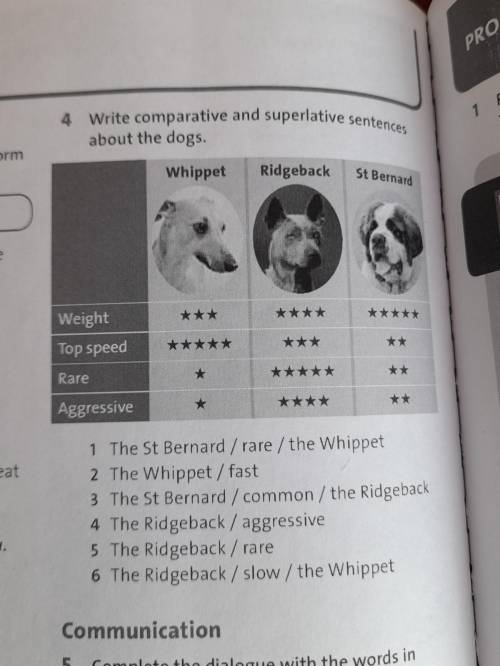 4 Write comparative and superlative sentences about the dogs. tform Whippet Ridgeback St Bernard he