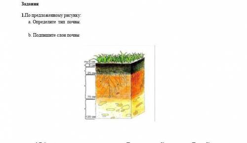 По предложенному рисунку: a. Определите тип почвы. b. Подпишите слои почвы