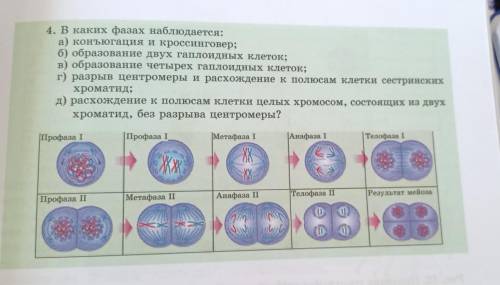 нужно отправить быстрее, только не брет