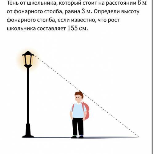 Тень от школьника, который стоит на расстоянии ﻿ 6 м﻿ от фонарного столба, равна ﻿ 3﻿м.Определи высо