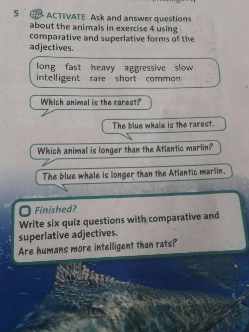 ask and answer questions about the animals in exercise 4 using comparative and superlative fornd of 