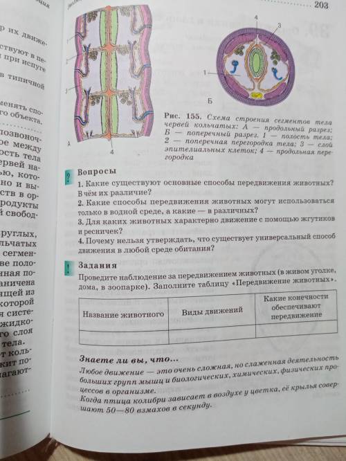 Биология 7 класс, составить конспект передвижения животных. Полости тела. Остался 1 час.