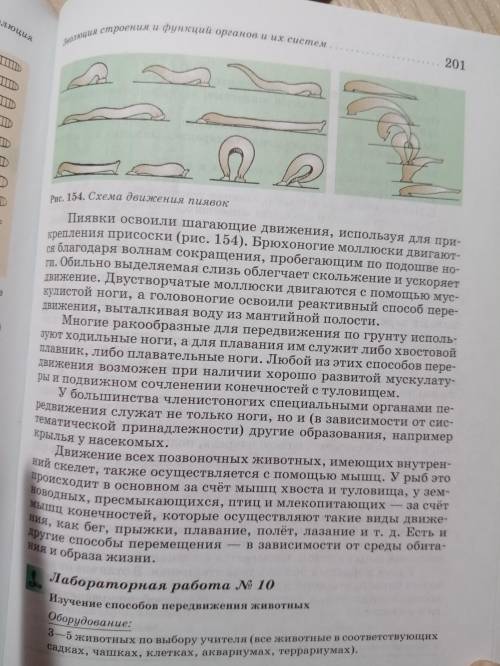 Биология 7 класс, составить конспект передвижения животных. Полости тела. Остался 1 час.