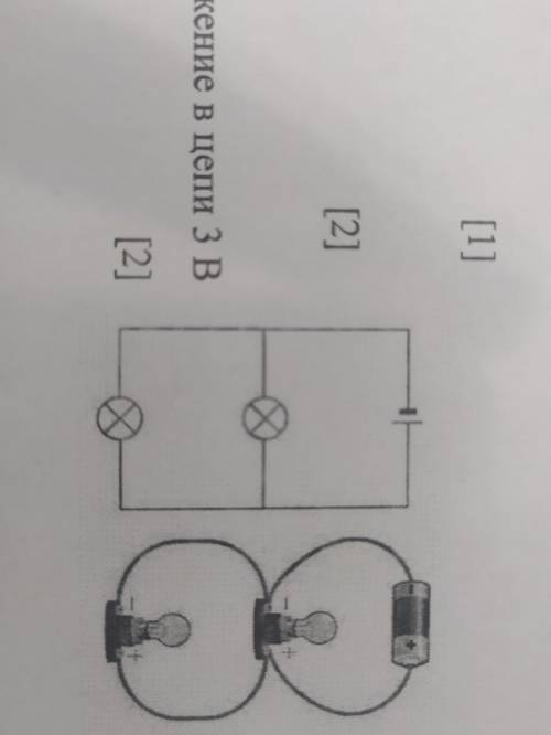 Задание 3. На рисунке изображена электрическая цепь, состоящая из двух соединенных между собой лампо