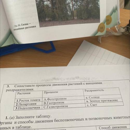 3. Сопоставьте процессы движения растений с внешними раздражителями. Растения Процессы Раздражитель 