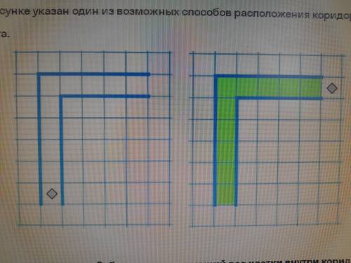 На бесконечном поле имеется вертикальный коридор. Длина его неизвестна. От верхнего края вертикально