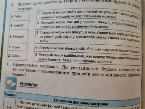 Зіставте групу хребетних тварин з особливостями будови їх головного мозку !! ЭТО