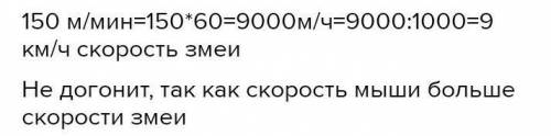 Полевая мышь убегает от змеи скорость движения мышь 12 км ч скорость передачи жених змеи 150м минуту