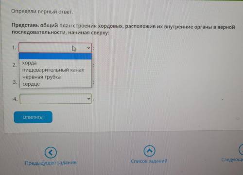 Представьте общий план строения хордовых расположив их внутренние органы в верной последовательности