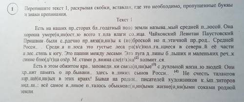 Сделайте задание, объясните буквы слов, там всякие орфограммы